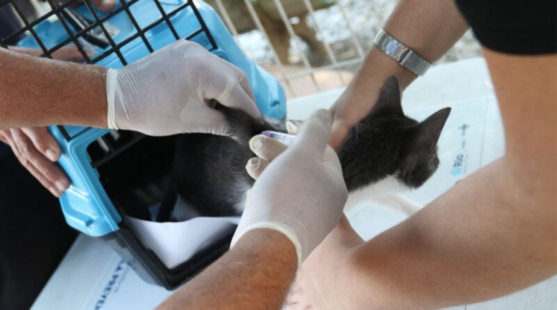 Foto: Tania Rêgo/Agência Brasil.