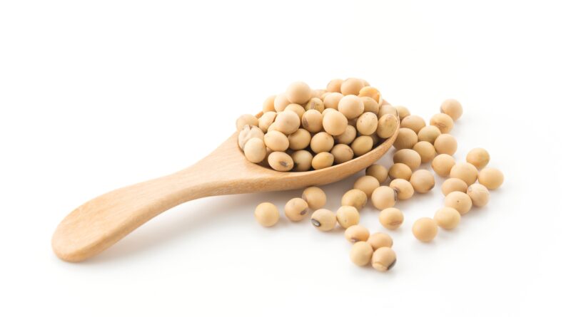 Como o mercado de soja abriu 2026? Saiba o que esperar!