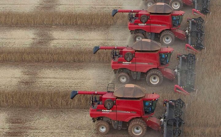 Preços de soja sobem em algumas regiões do Brasil; confira o fechamento de mercado