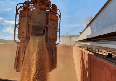 importações, soja, china