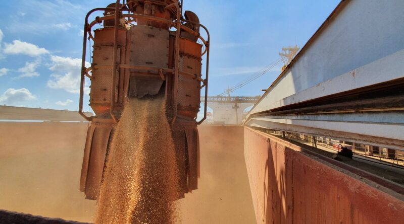 importações, soja, china