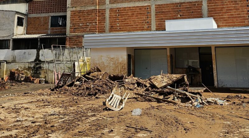 Temporais provocam perdas em propriedades rurais da zona da mata mineira