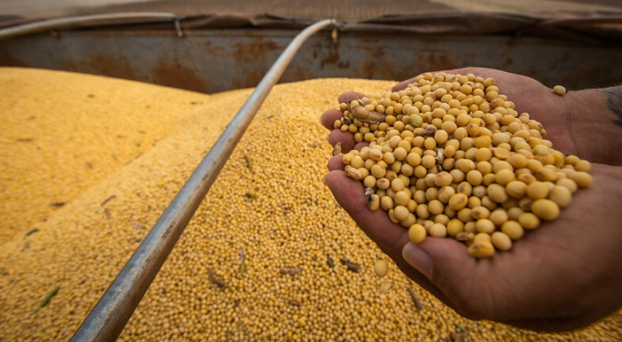 Mercado de soja no Brasil deve seguir travado nesta terça-feira