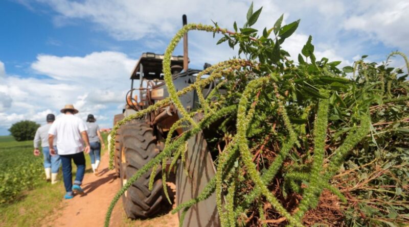 Foto: Gilberto Marques.