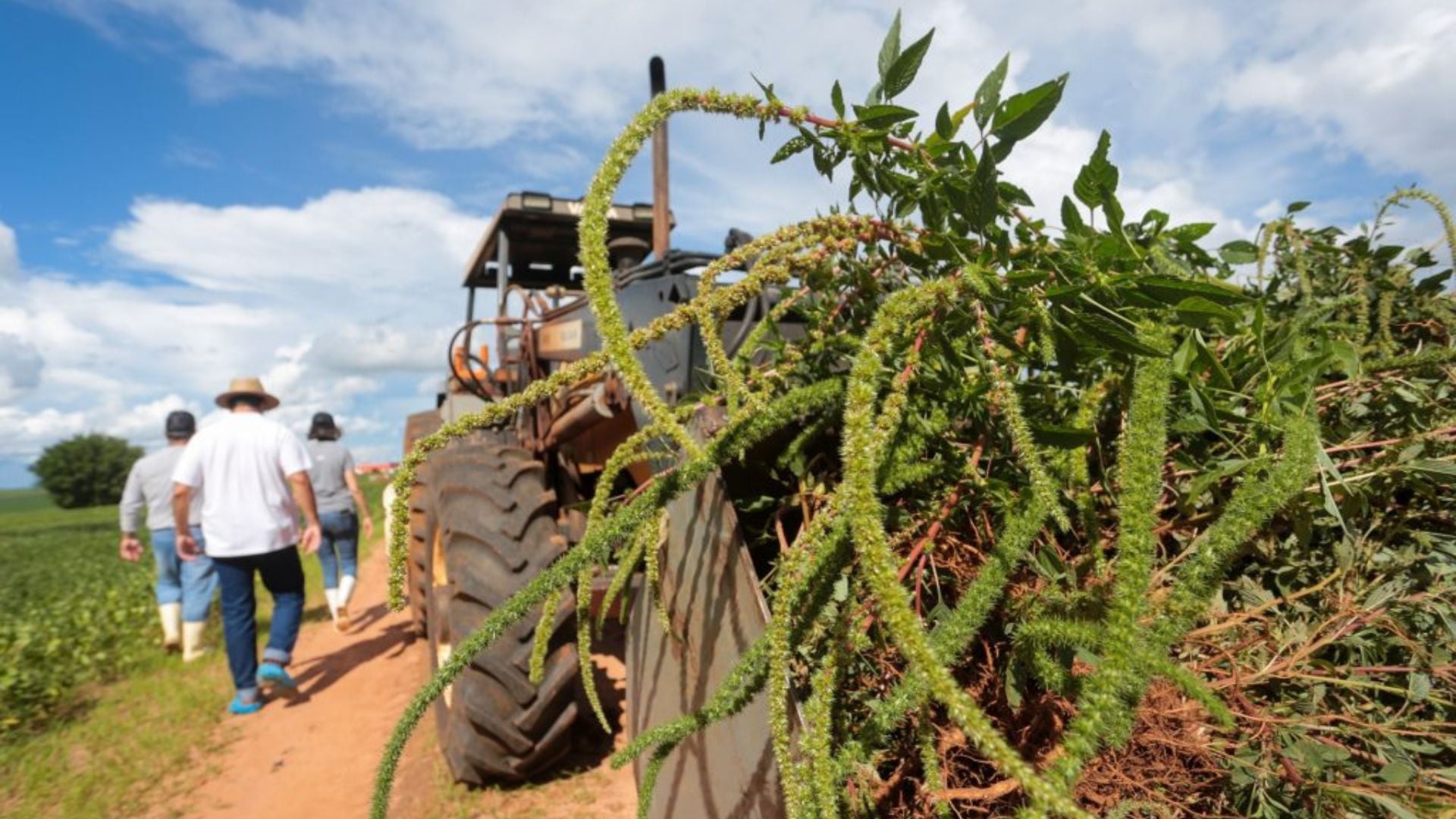 Foto: Gilberto Marques.