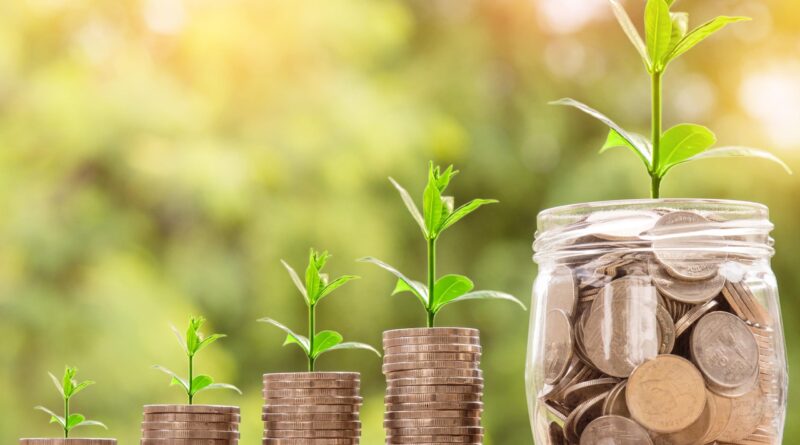 seguro rural - cooperativas de crédito