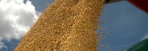 colheitadeira despejando soja colheita