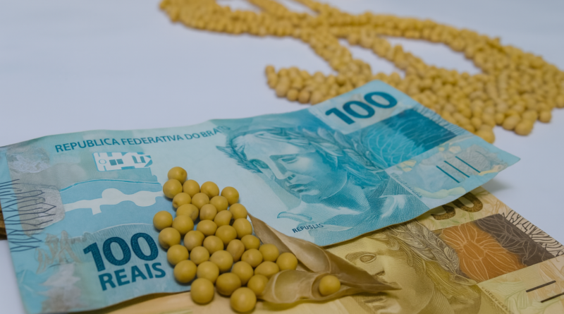 Plano Safra recursos - grãos de soja dinheiro