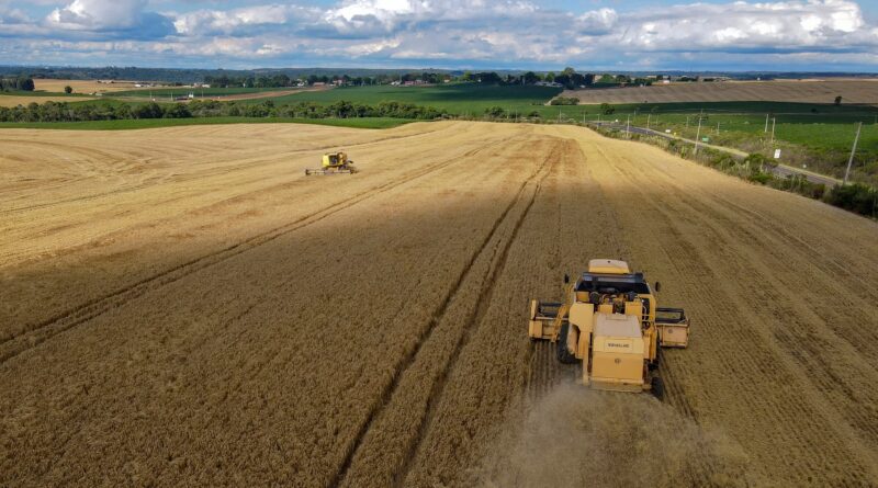 cidades, ranking, Paraná, agricultura, pecuária