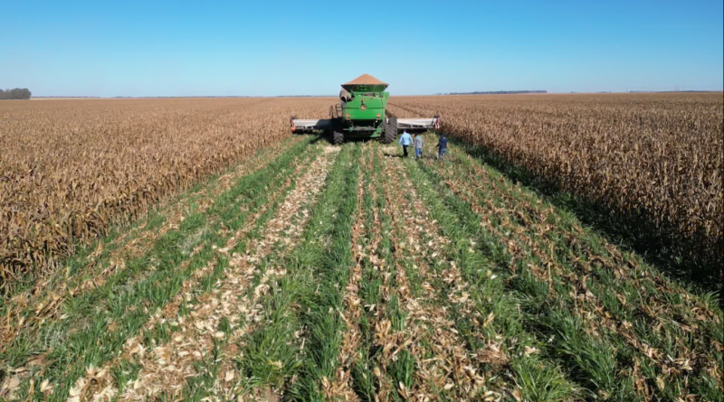 Foto: Reprodução/Giro do Boi.