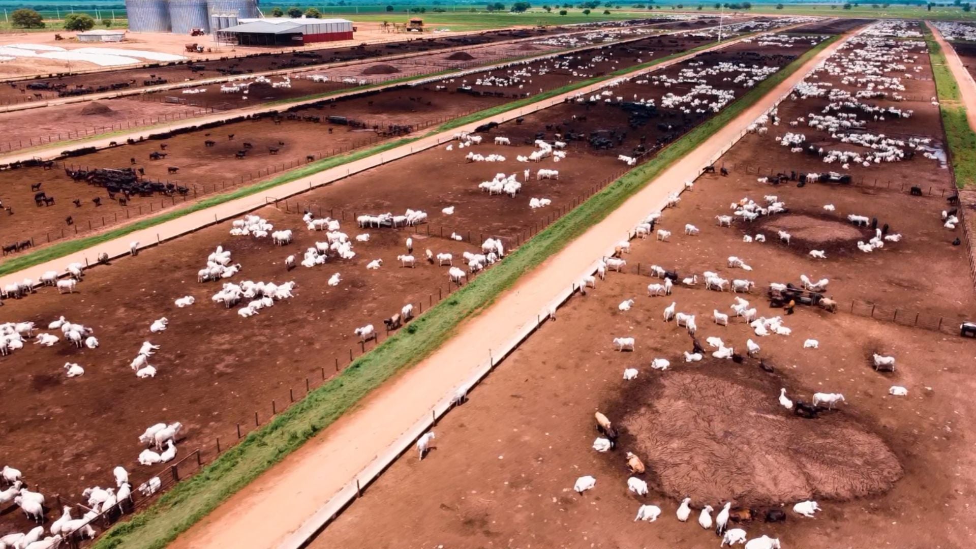 Vista área do confinamento de bovinos na fazenda Nova Piratinga. Foto: Reprodução/Giro do Boi