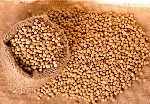 Soja perde fôlego no Brasil com mercado travado e pressão externa