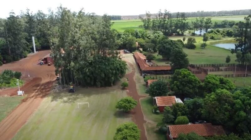 propriedade Pão e Mel em MS - produtora de soja Maira Britto Fernandes