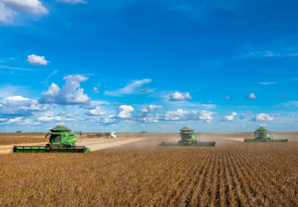 colheita de soja, colheitadeira, lavoura, bahia