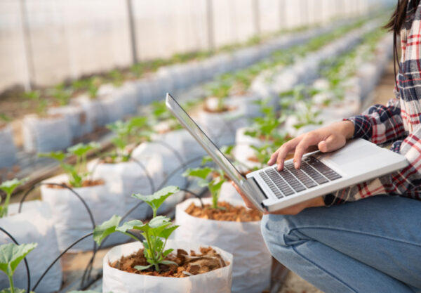 Estudo aponta entraves e caminhos para ampliar uso da agricultura 4.0 no Brasil