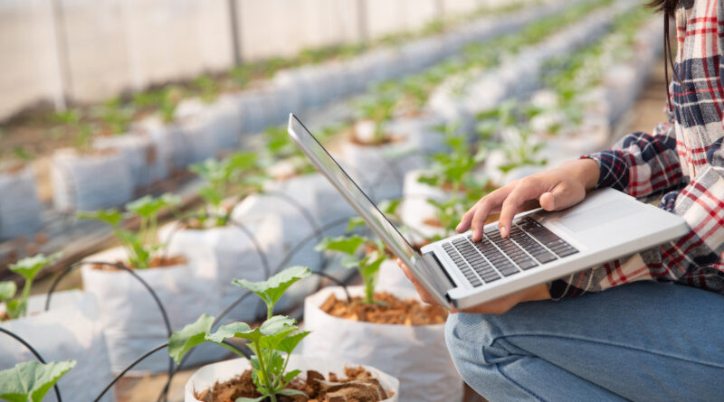 Estudo aponta entraves e caminhos para ampliar uso da agricultura 4.0 no Brasil