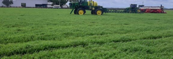 Início do plantio da soja em Roraima