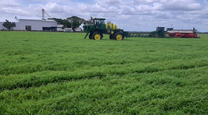 Início do plantio da soja em Roraima