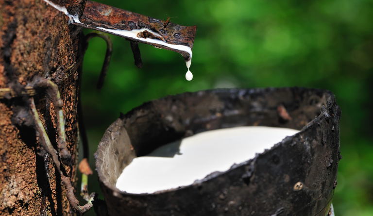 Alíquota de importação da borracha natural até 2027