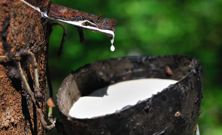 Alíquota de importação da borracha natural até 2027