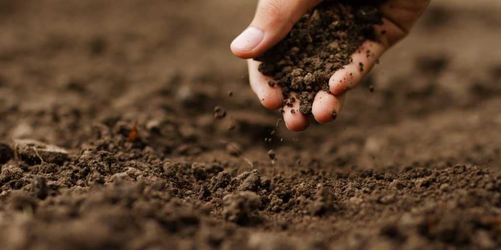 IV Simpósio Brasileiro de Solos Arenosos