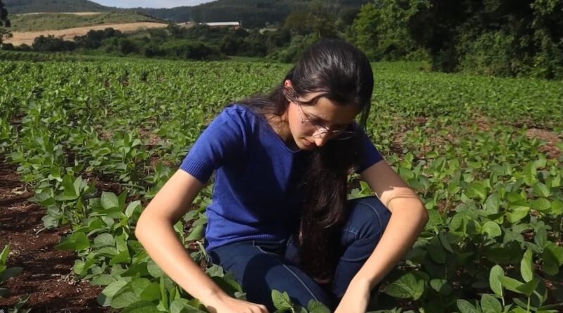 Incentivo à habitação rural garante sucessão familiar