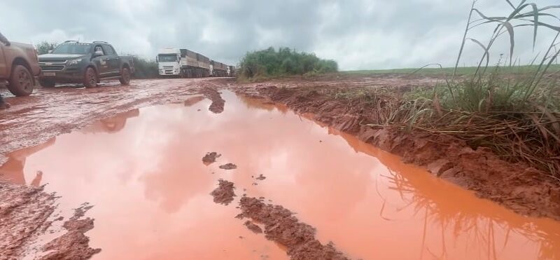 Intransitável: rodovia precária trava escoamento de soja e ameaça safra em MT