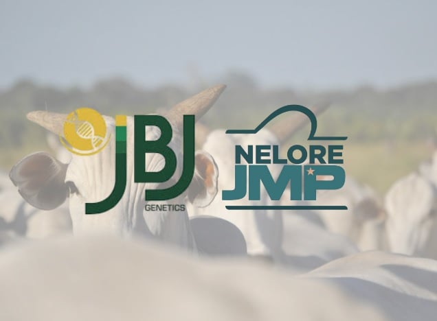 JBJ e Nelore JMP