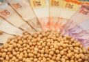 preço soja cotação - preços ao produtor agropecuário
