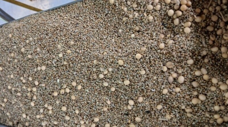 carga adulterada soja