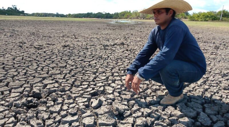 Homem agachado sobre terra seca