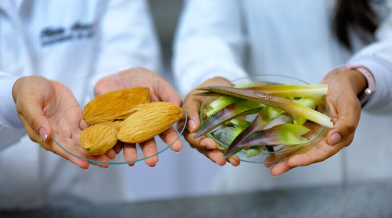 resíduos de manga e abacaxi