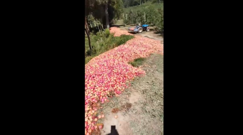 Foto: Reprodução/Leandro Schmitz.