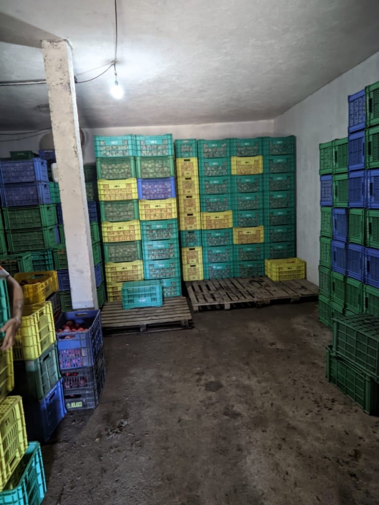 Foto: Reprodução/Leandro Schmitz.