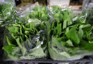 Foto: Divulgação/Defesa Agropecuária de SP.