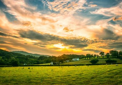 Propriedade rural. Foto: Canva