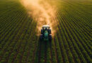 lavoura trator seguro rural