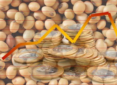 Soja avança com Chicago e dólar, melhora preços e reativa negócios no Brasil; confira cotações