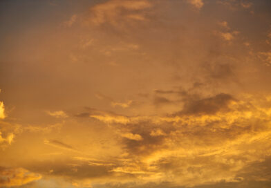 Clima no radar do sojicultor: informação meteorológica ganha peso nas decisões no campo