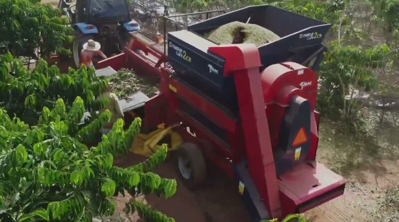 Abertura do mercado cubano para frutas brasileiras avança com missão técnica