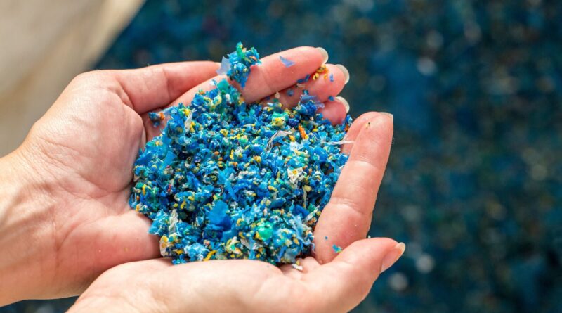 Foto: Divulgação/JBS.