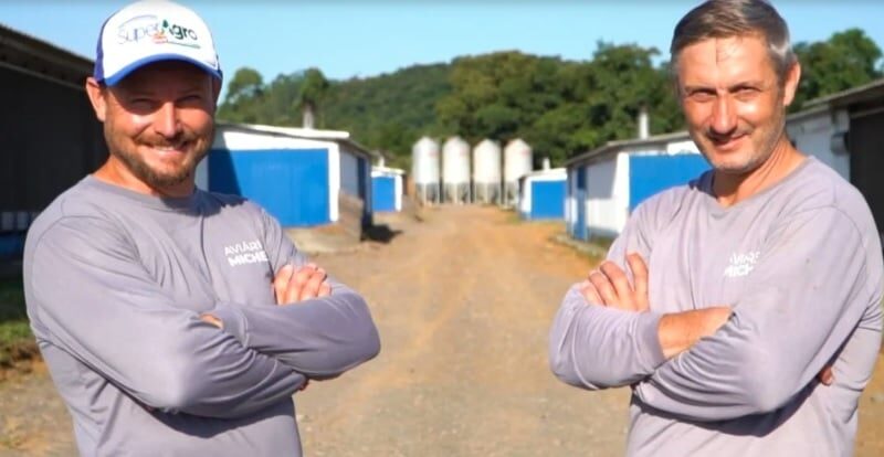 Após deixar avicultura por 15 anos, família de produtores retornar ao setor e amplia negócios em SC