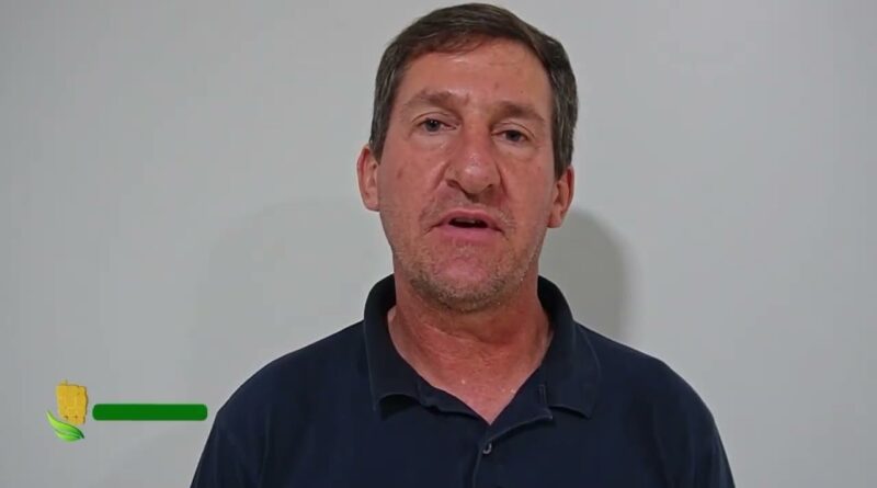 Atraso no plantio do milho em Mato Grosso gera preocupações no campo