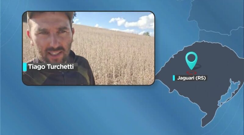 Bahia enfrenta período seco enquanto Jaguari registra chuvas