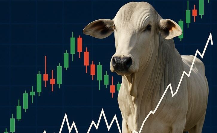 derivativos boi gordo