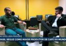 Brasil é o maior produtor de café, mas enfrenta desafios