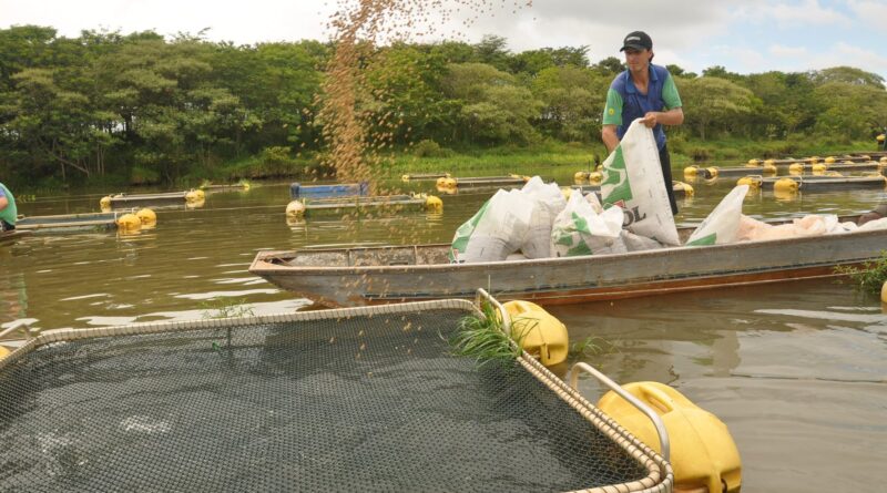 CNA solicita suspensão de exigência de RGP para aquicultores