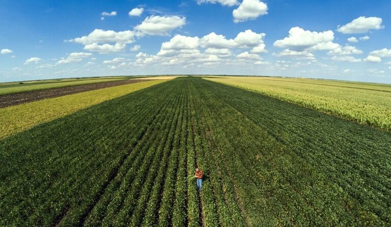 crédito rural, Plano Safra