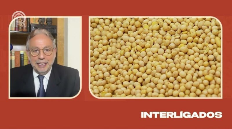 China planeja reduzir uso de farelo de soja e impacta exportações brasileiras