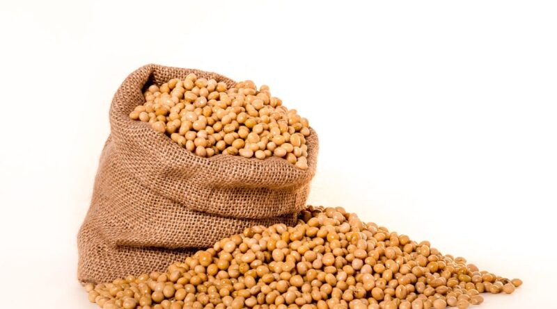 Como ficou o mercado de soja nesta quinta-feira? Confira as cotações por região